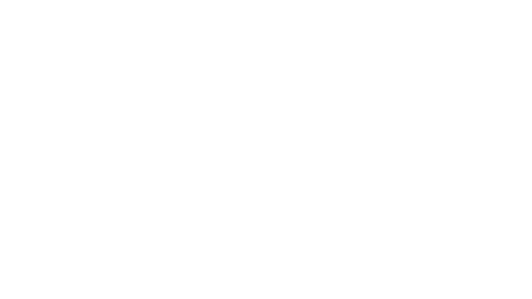 supported employment